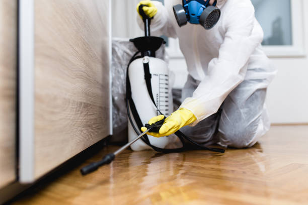 Best Best Pest Control Companies  in Doylestown, OH
