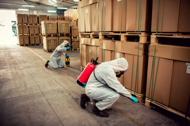 Best Emergency Pest Control  in Doylestown, OH