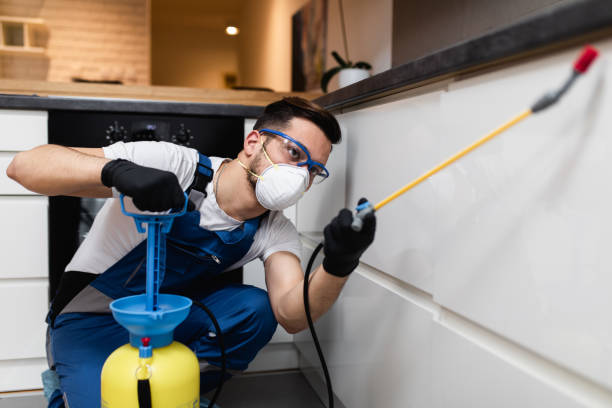 Best Flea Control Services  in Doylestown, OH