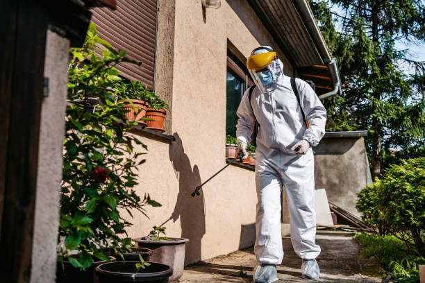Best Pest Removal Services  in Doylestown, OH