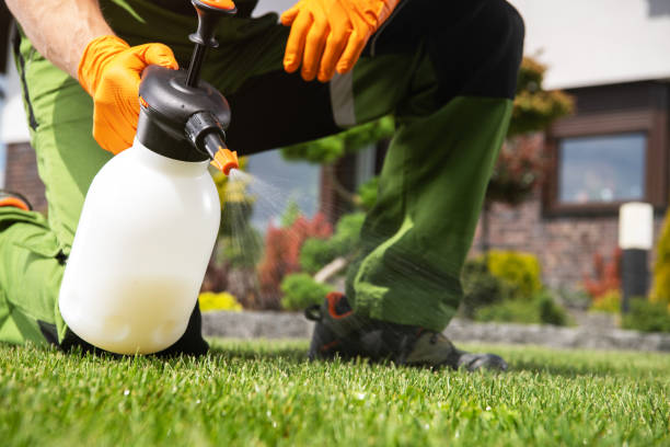 Best Emergency Pest Control  in Doylestown, OH