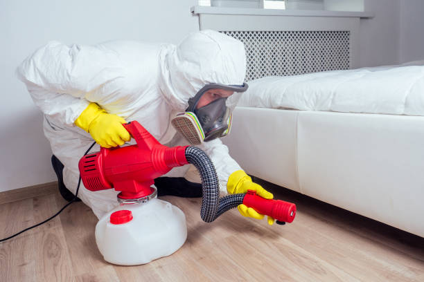 Best Wasp Removal Services  in Doylestown, OH