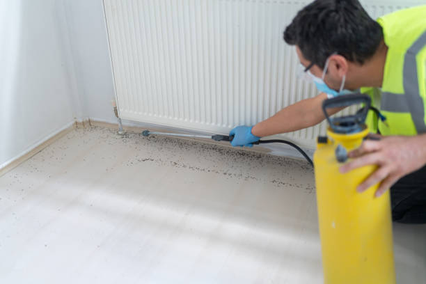 Best Best Pest Control Companies  in Doylestown, OH
