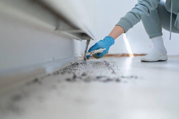Best Pest Inspection Near Me  in Doylestown, OH