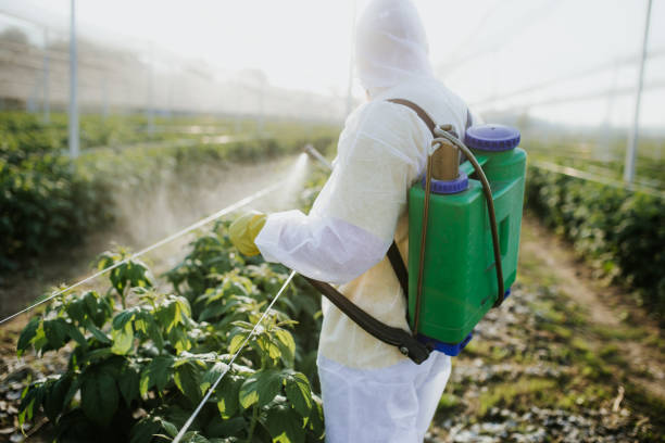 Wasp Removal Services in Doylestown, OH
